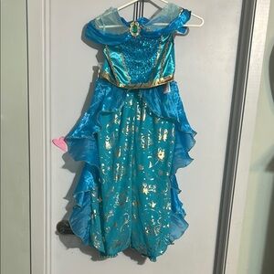Disney Enchanted Blue and Gold Halloween Costume